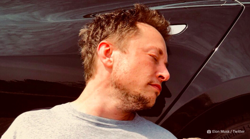 elon-image